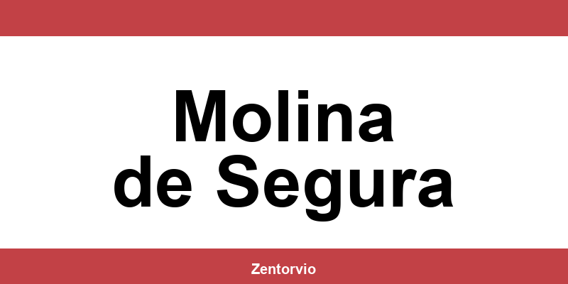 Teléfono y dirección DHL en Molina de Segura